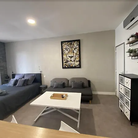 Paca 41h2 - Cosy קאן