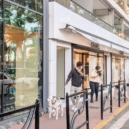 Paca 41h2 - Cosy קאן