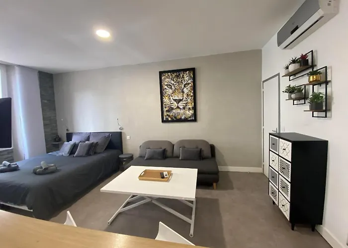 Paca 41h2 - Cosy كان