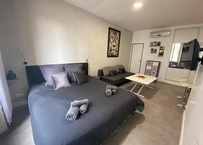 Apartmán Paca 41h2 - Cosy Cannes