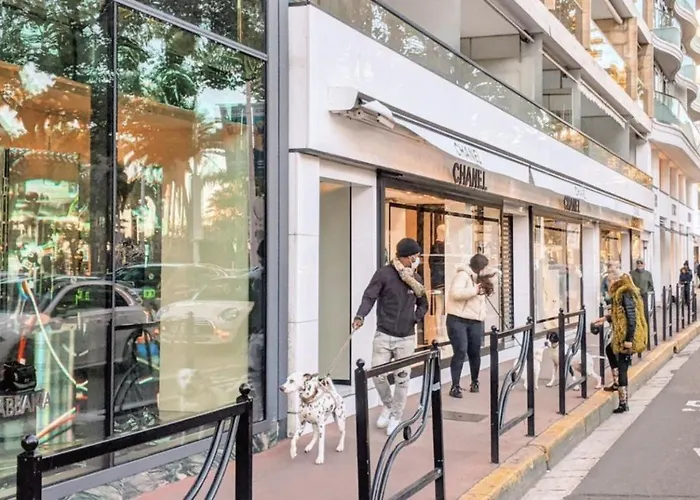 Paca 41h2 - Cosy Cannes